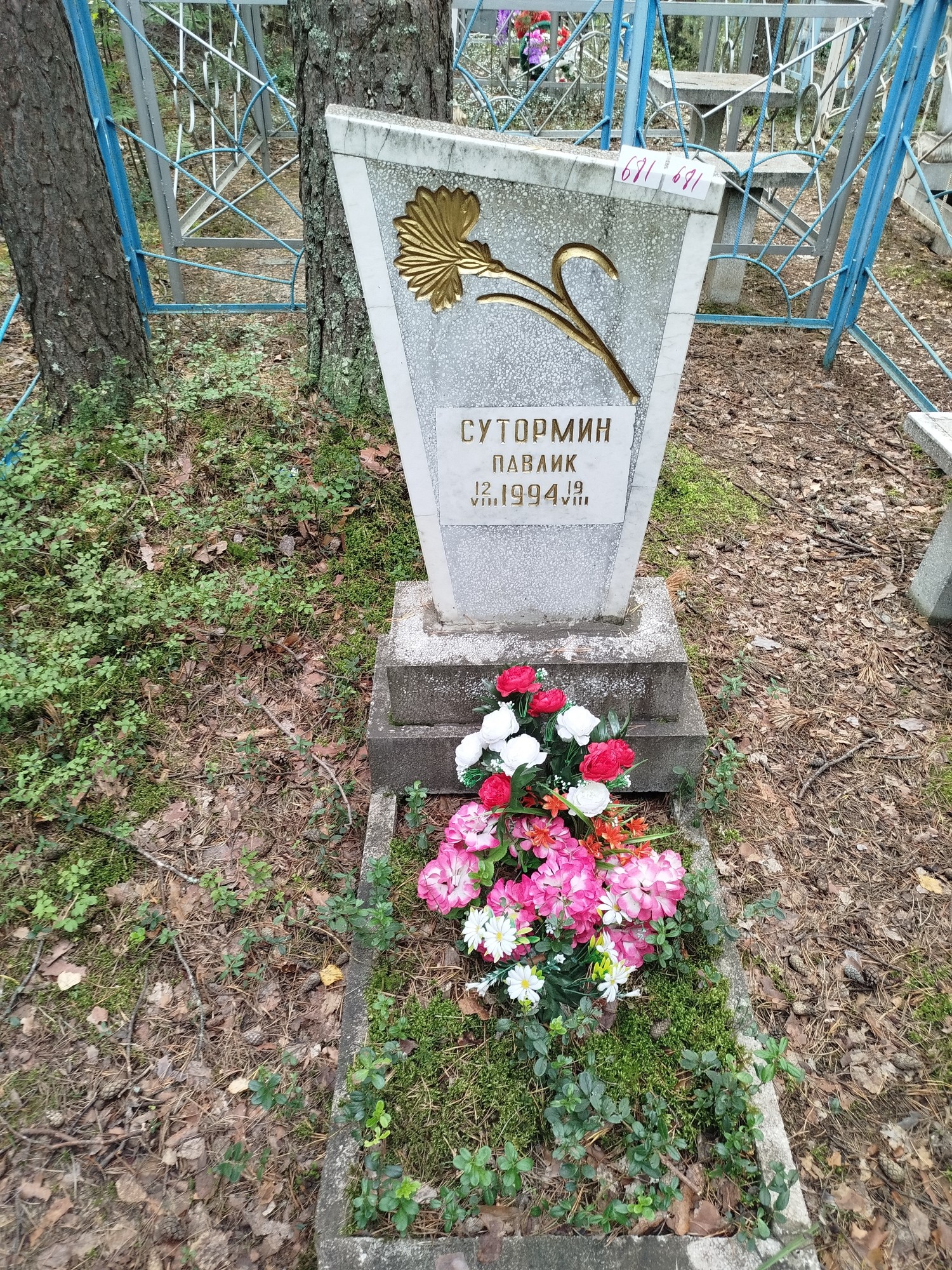 Сутормин Павел