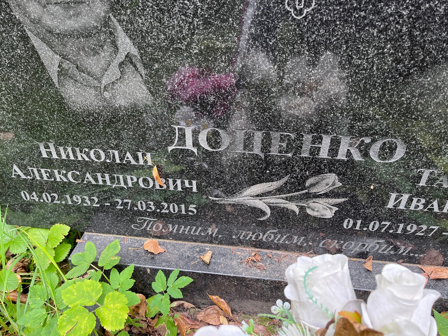 Доленко