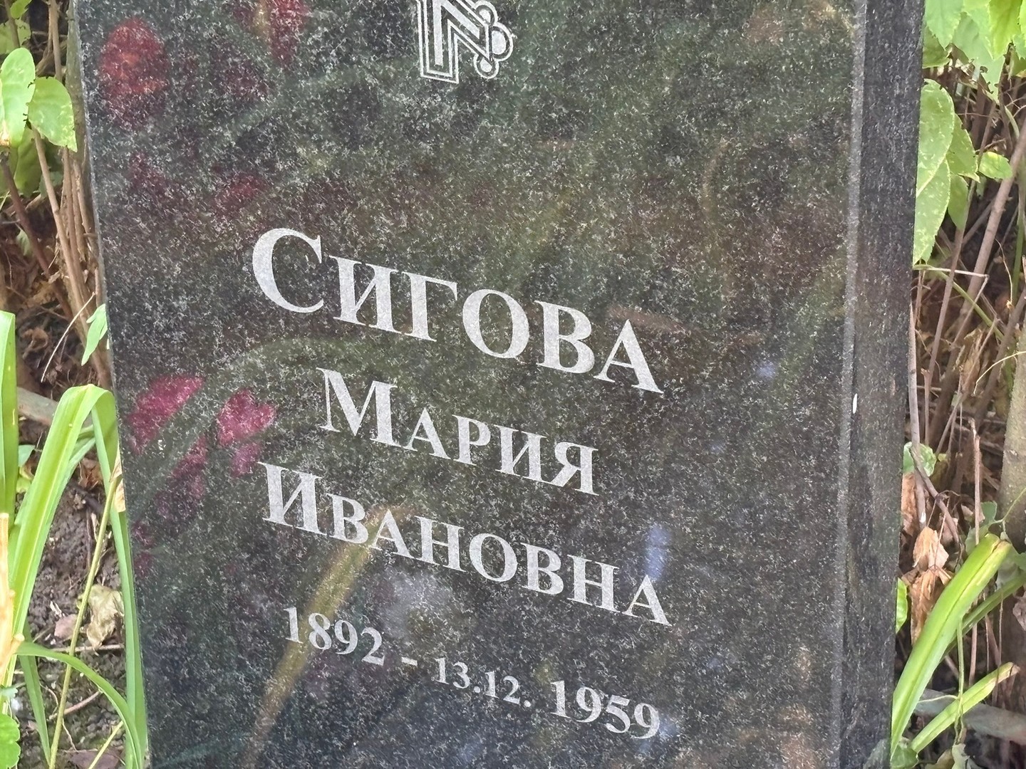 Сигова