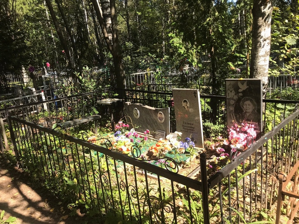 Галкин Владимир Петрович