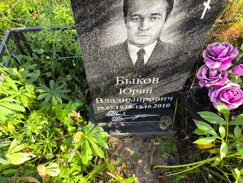 Быков
