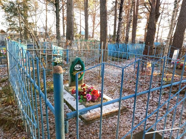 Шилов Александр Андреевич