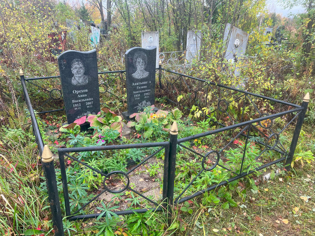 Орехова Анна Васильевна