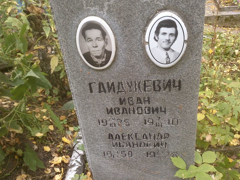 Гайдукевич