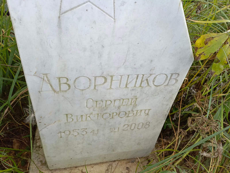 Дворников