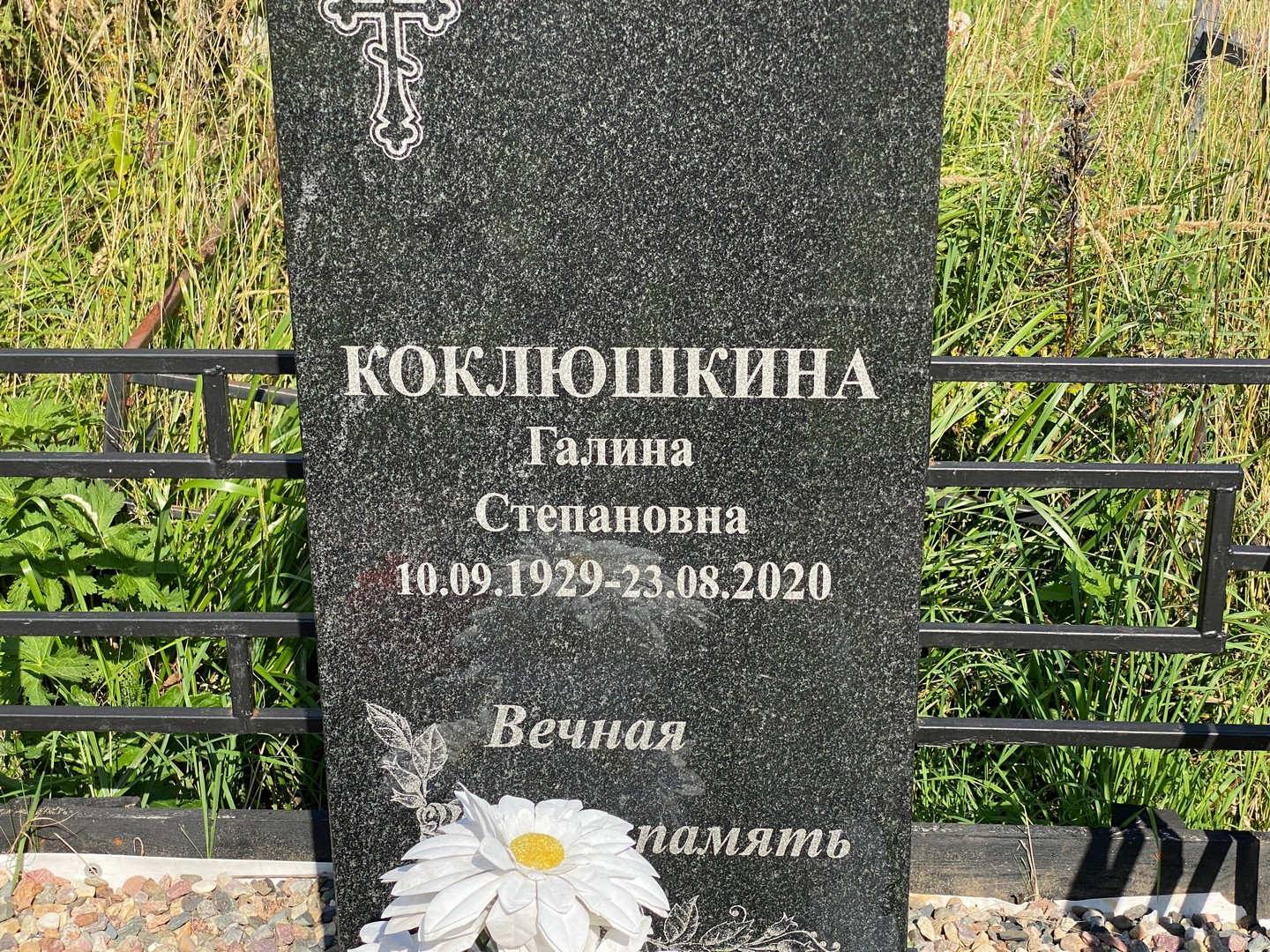 Коклюшкина