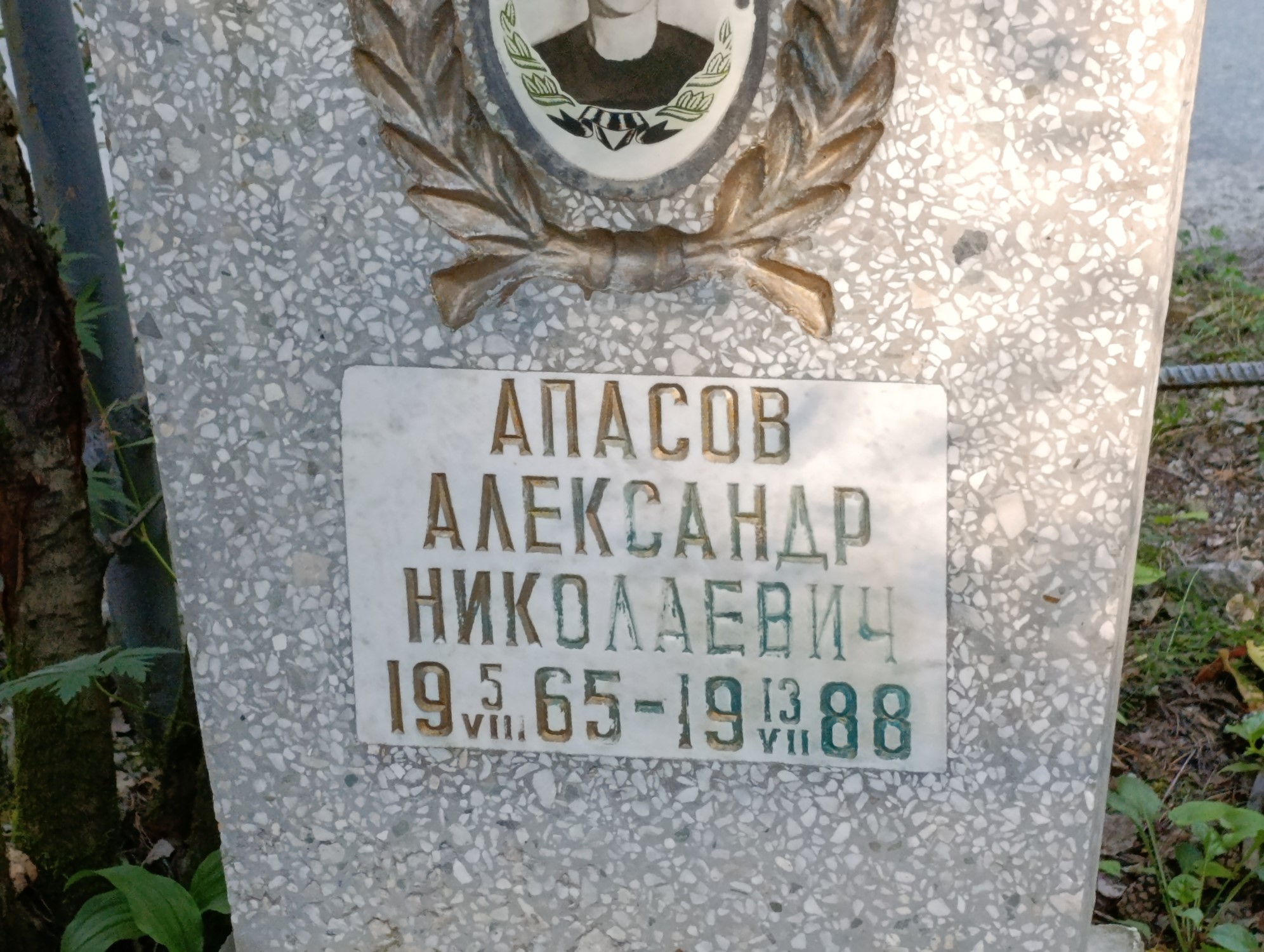 Апасов Александр Николаевич