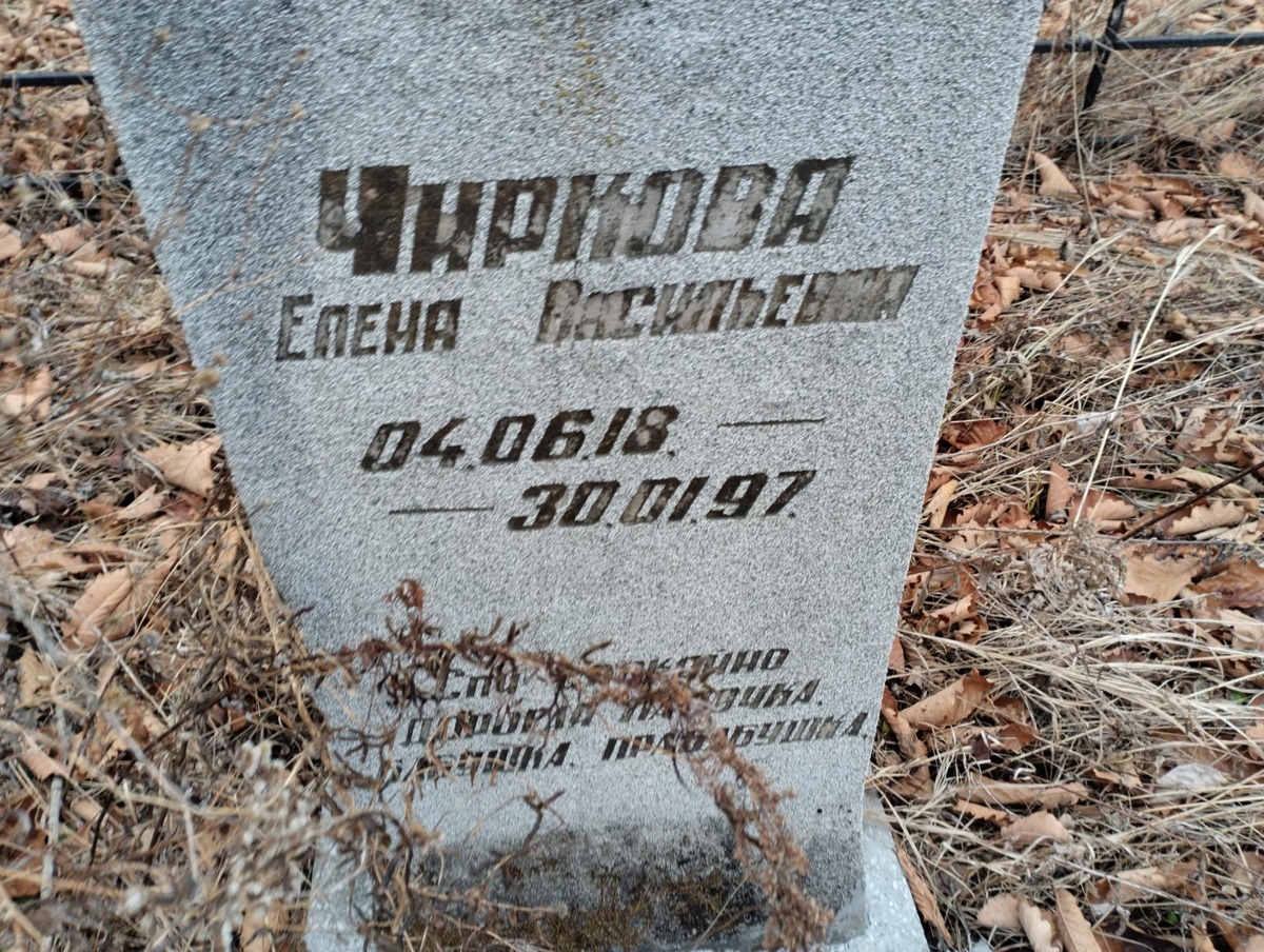 Чиркова Елена Васильевна