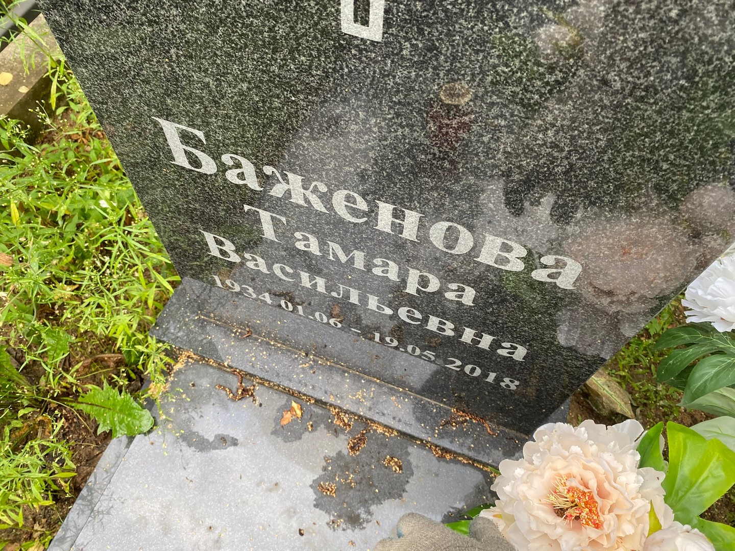 Баженова