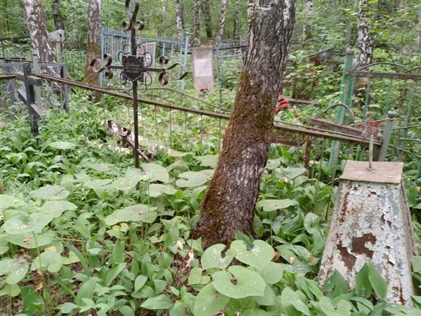Трубицин Юрий Александрович