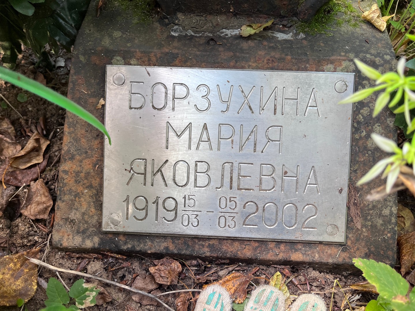 Борзухина