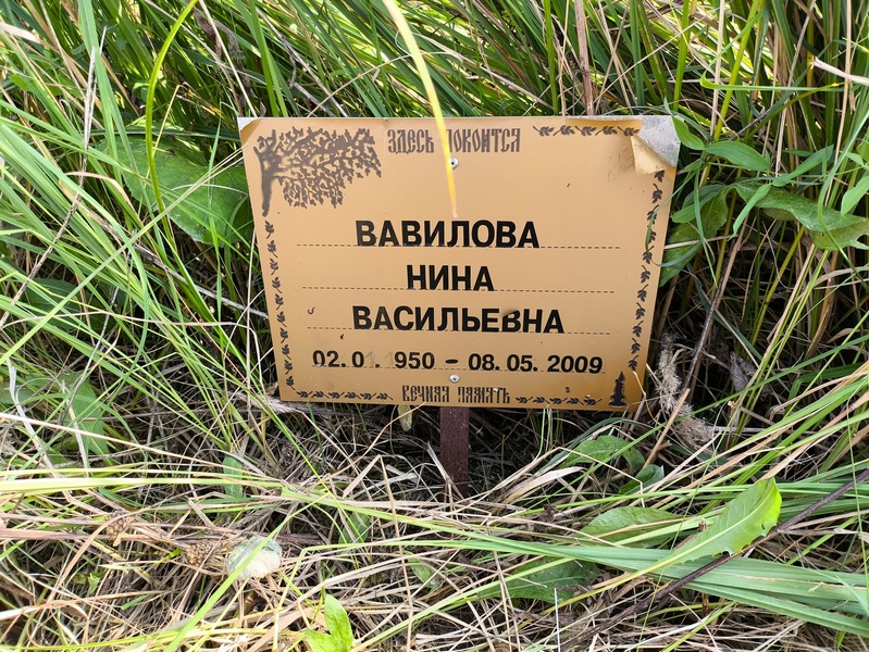 Вавилова