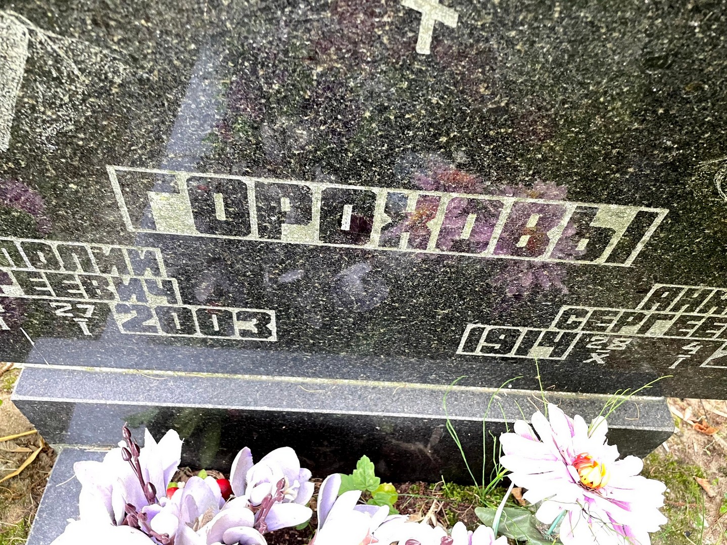 Горохов