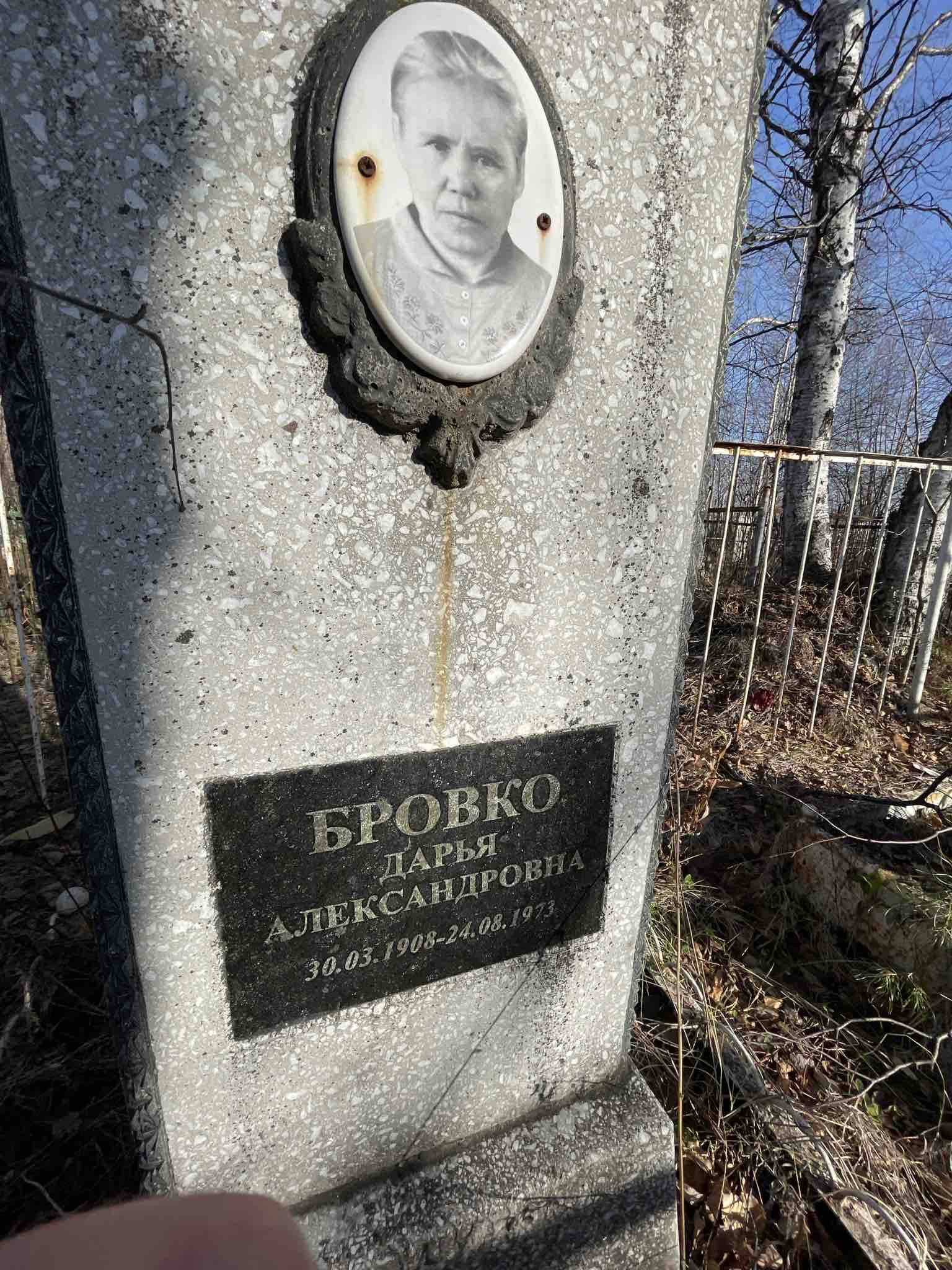 Бровко Дарья Александровна