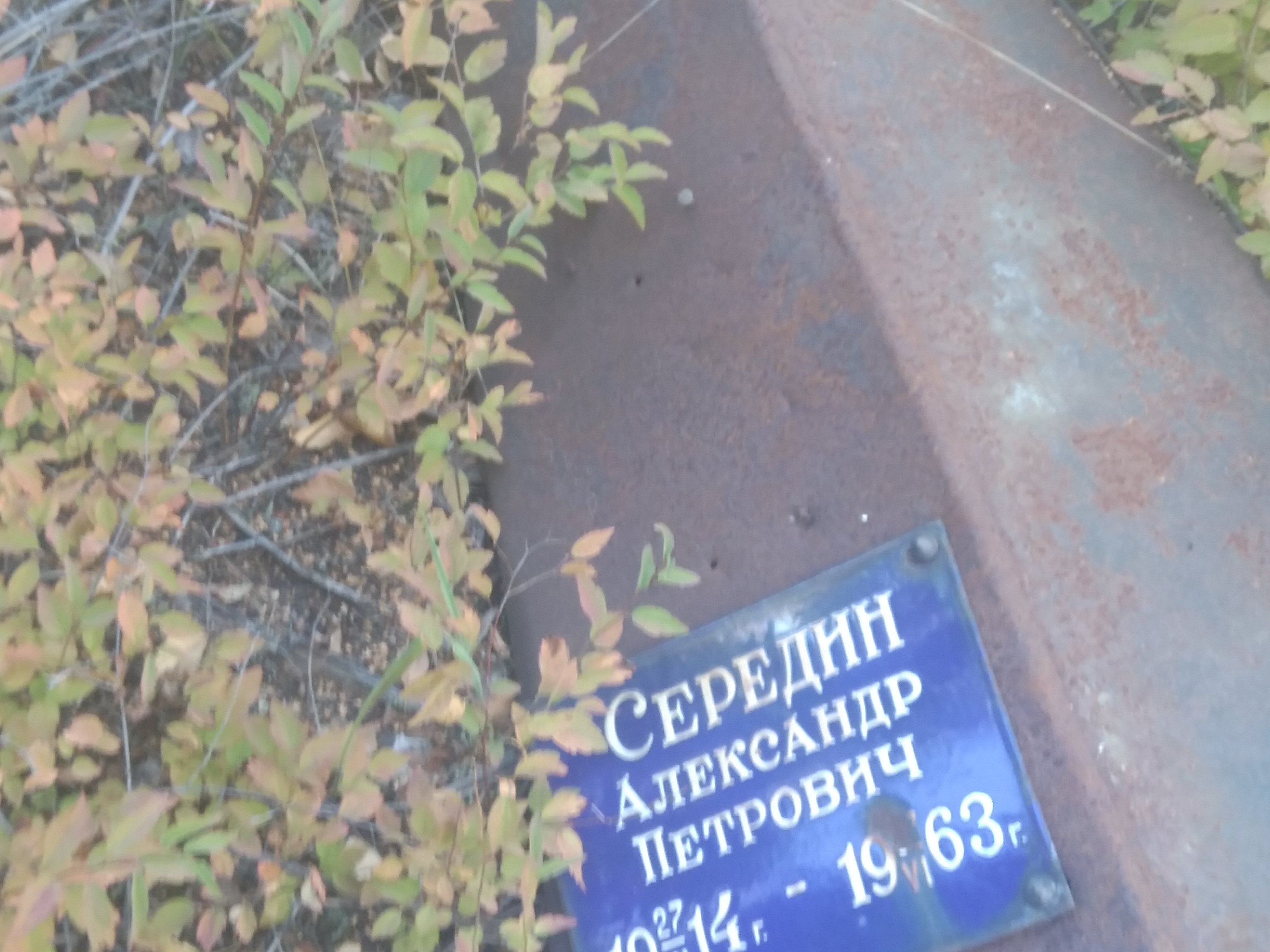 Середин Александр Петрович