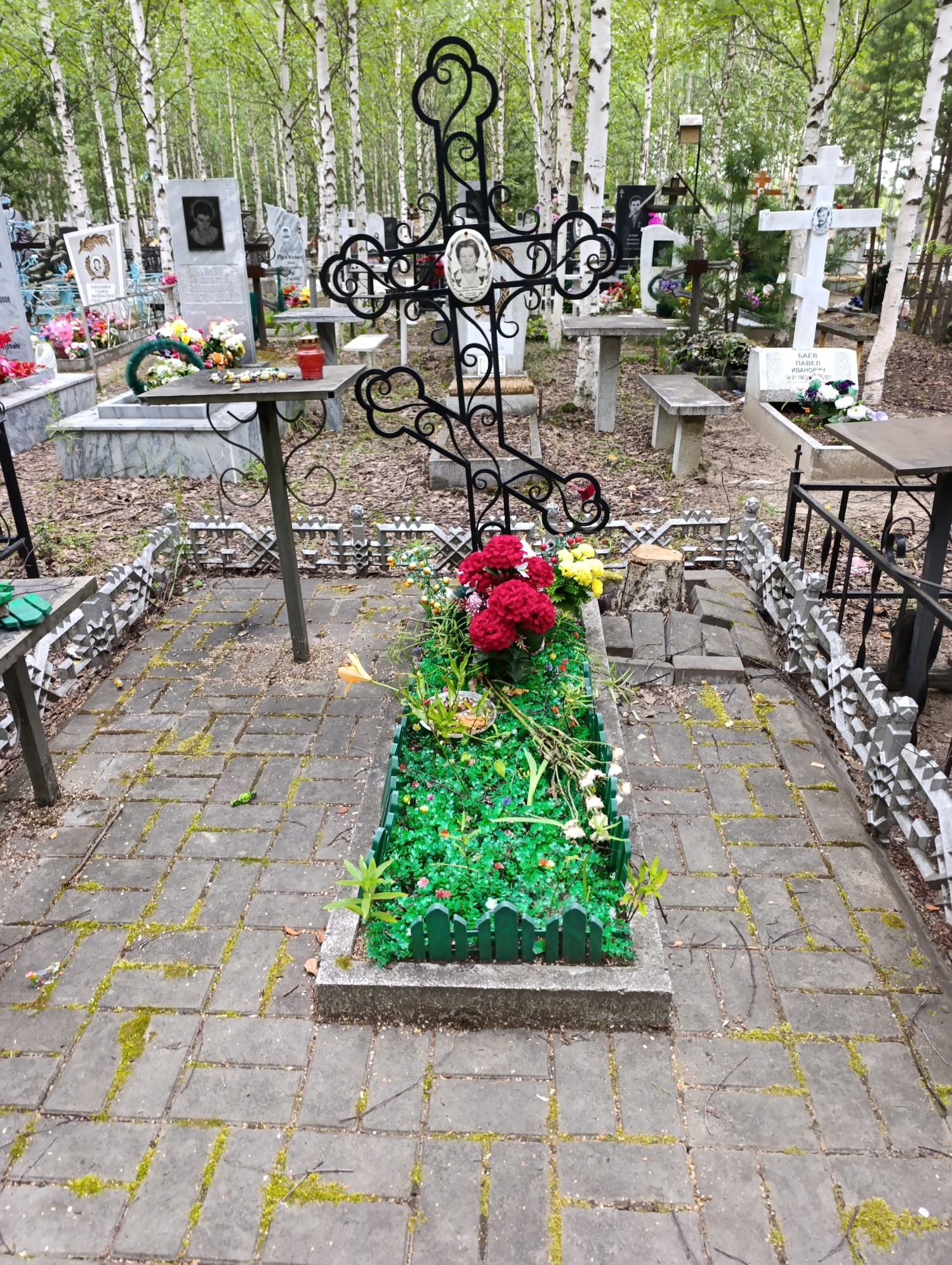 Максимова Екатерина Антоновна