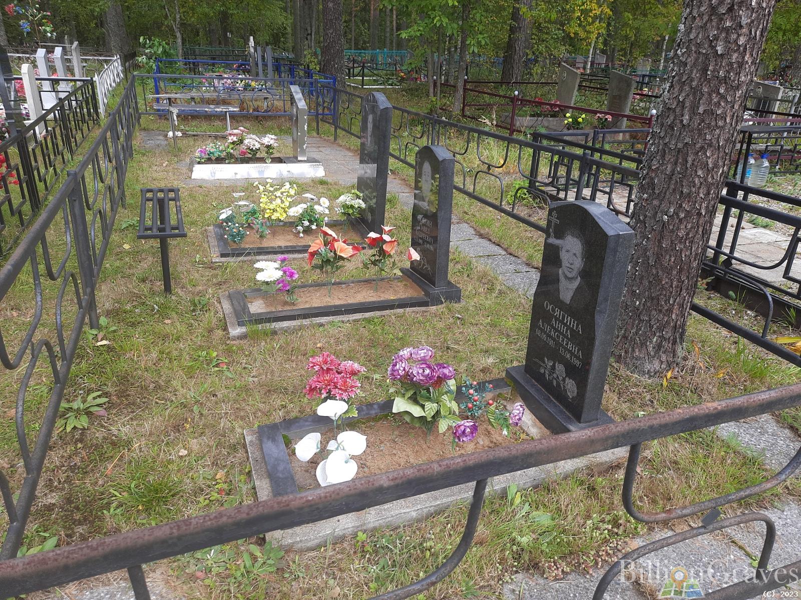 Осягина Ангелина Павловна