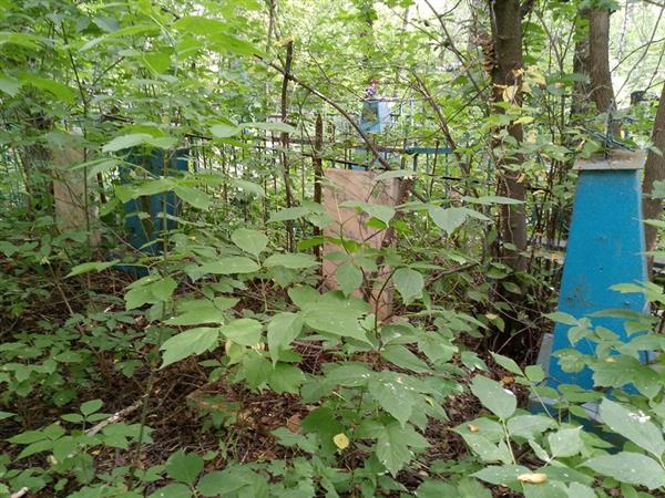 Усольцева Прасковья Ивановна