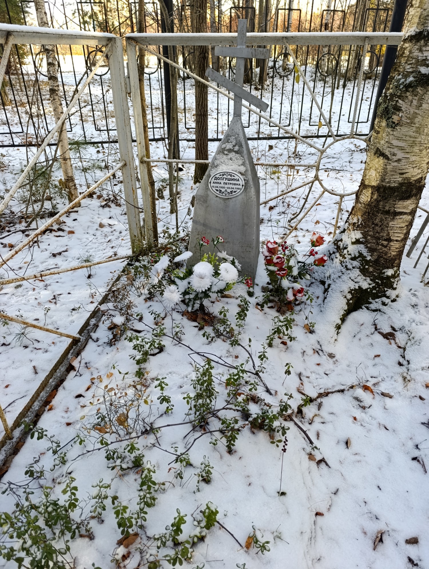 Долгушина Анна Петровна