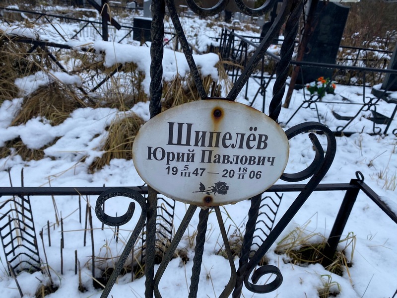 Шипелев