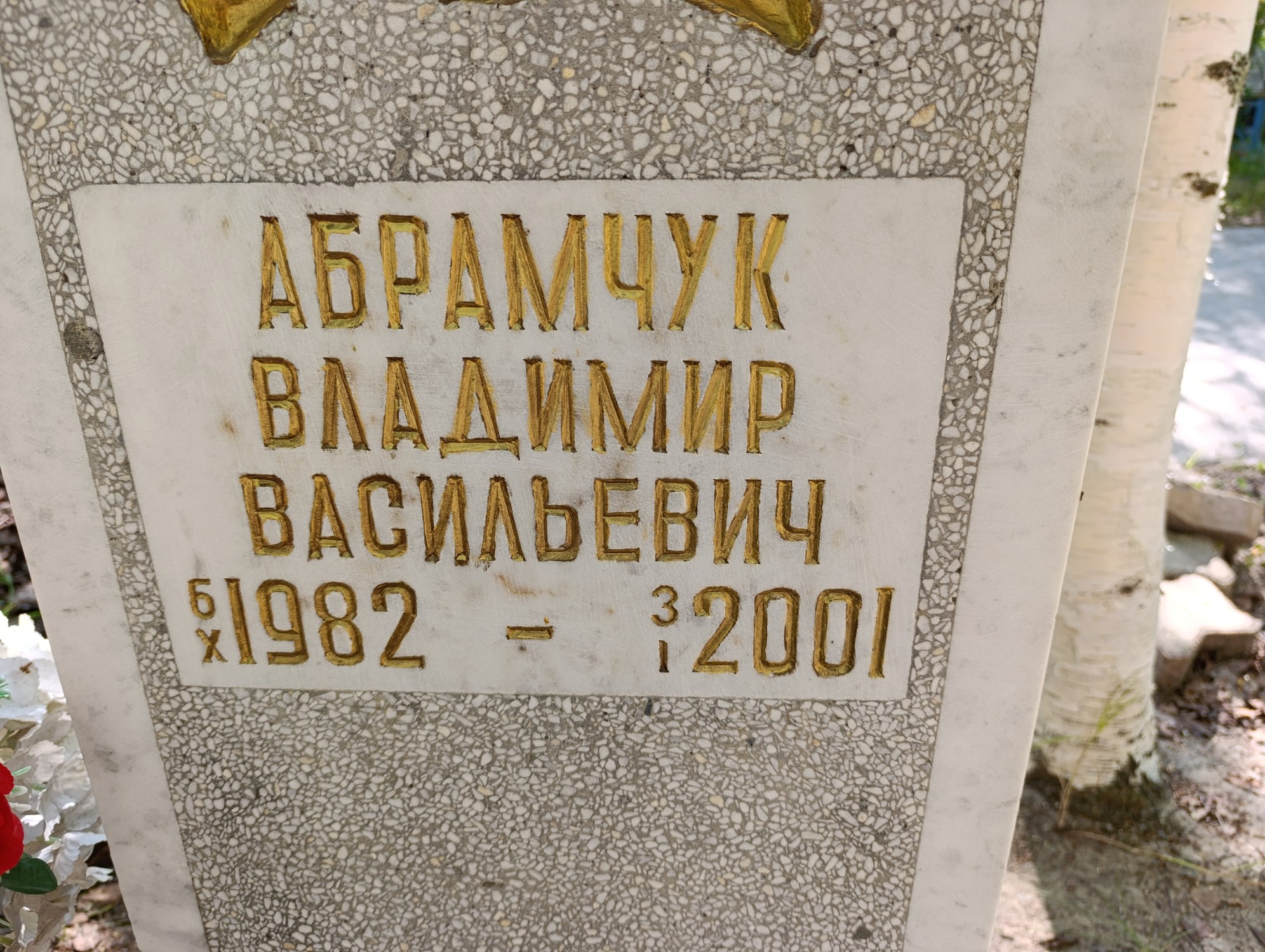 Абрамчук Владимир Васильевич