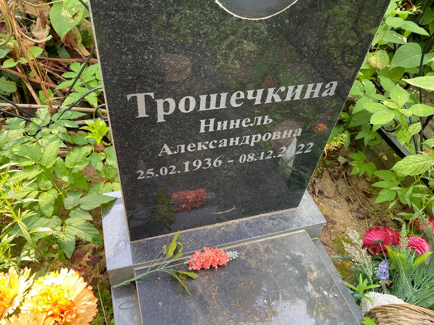 Нинель Трошечкина Александровна