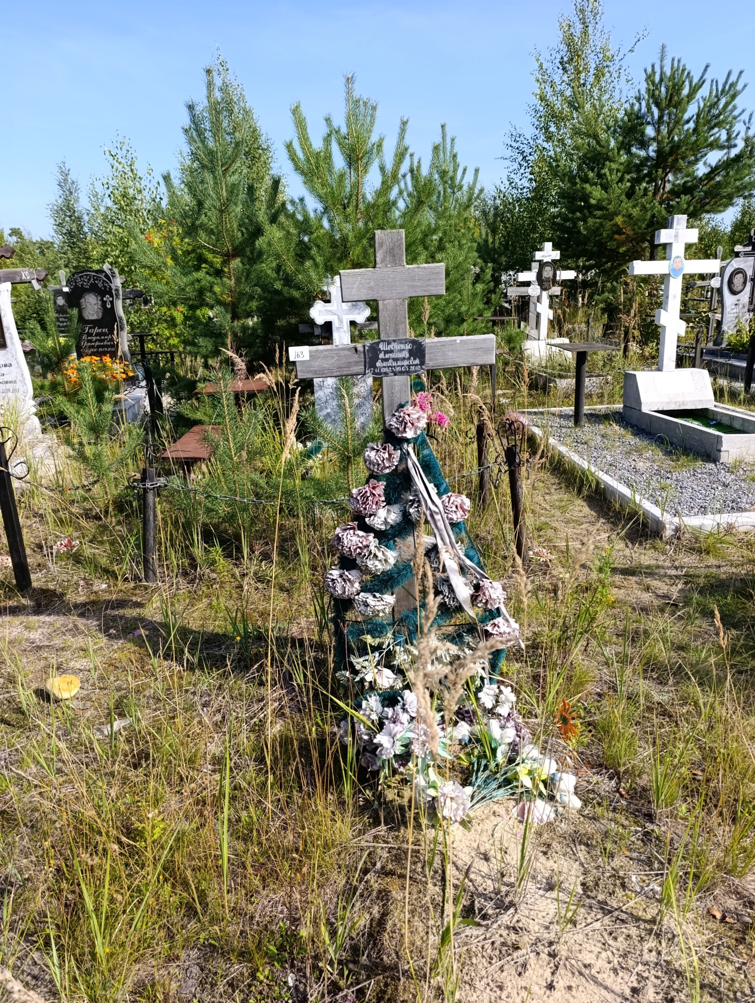 Шевченко Александр Владимирович