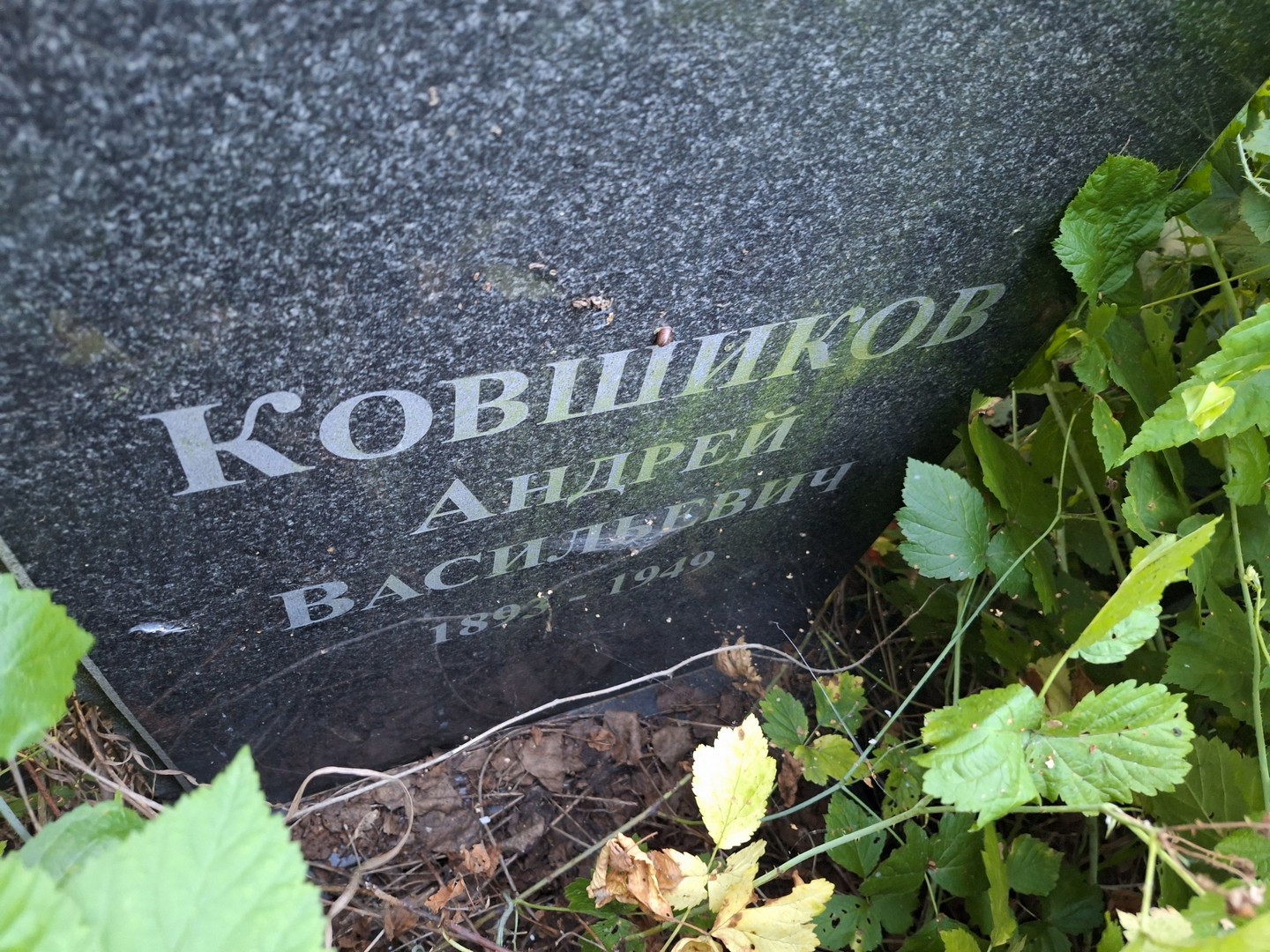 Ковшиков