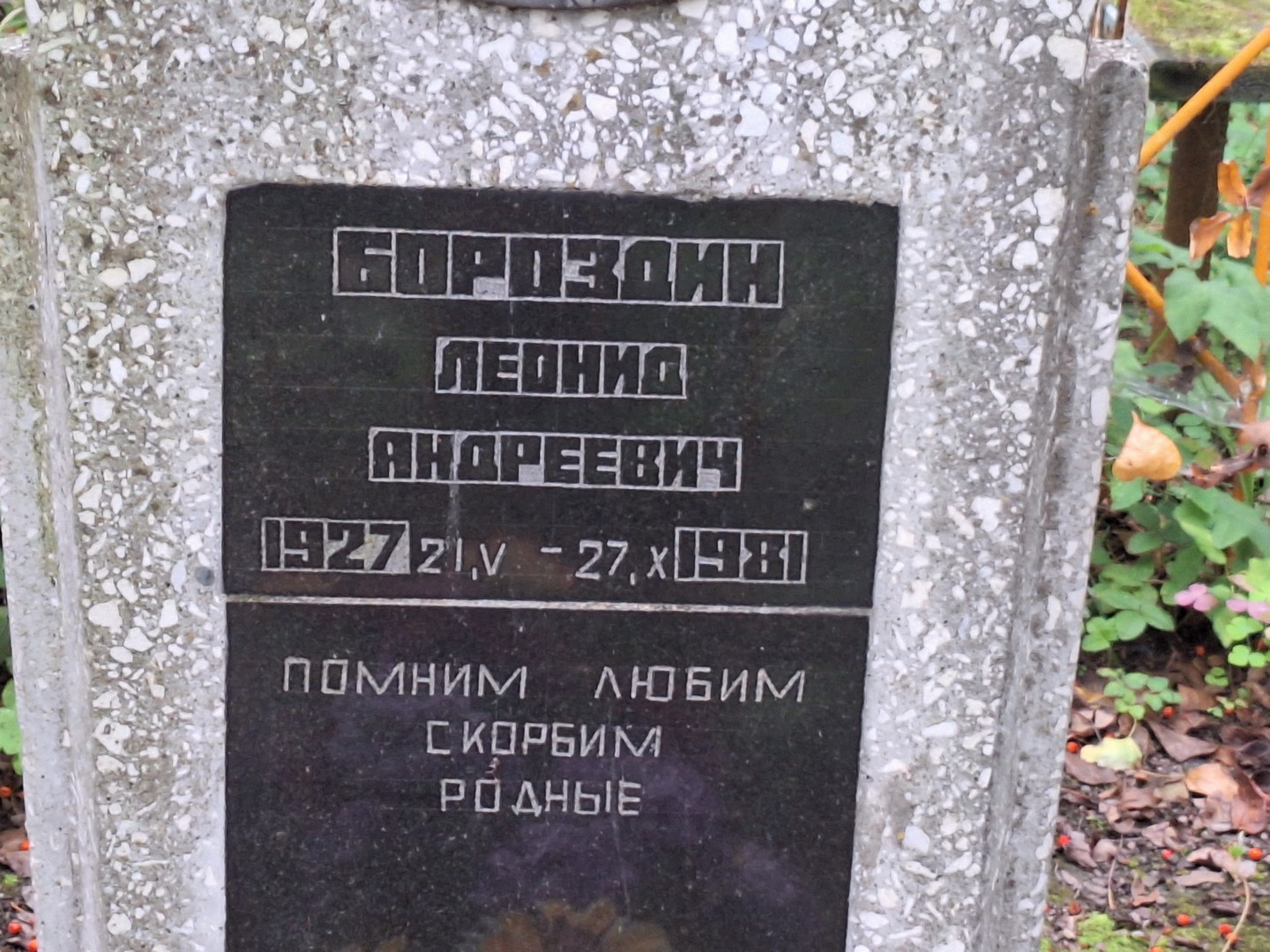 Бороздин