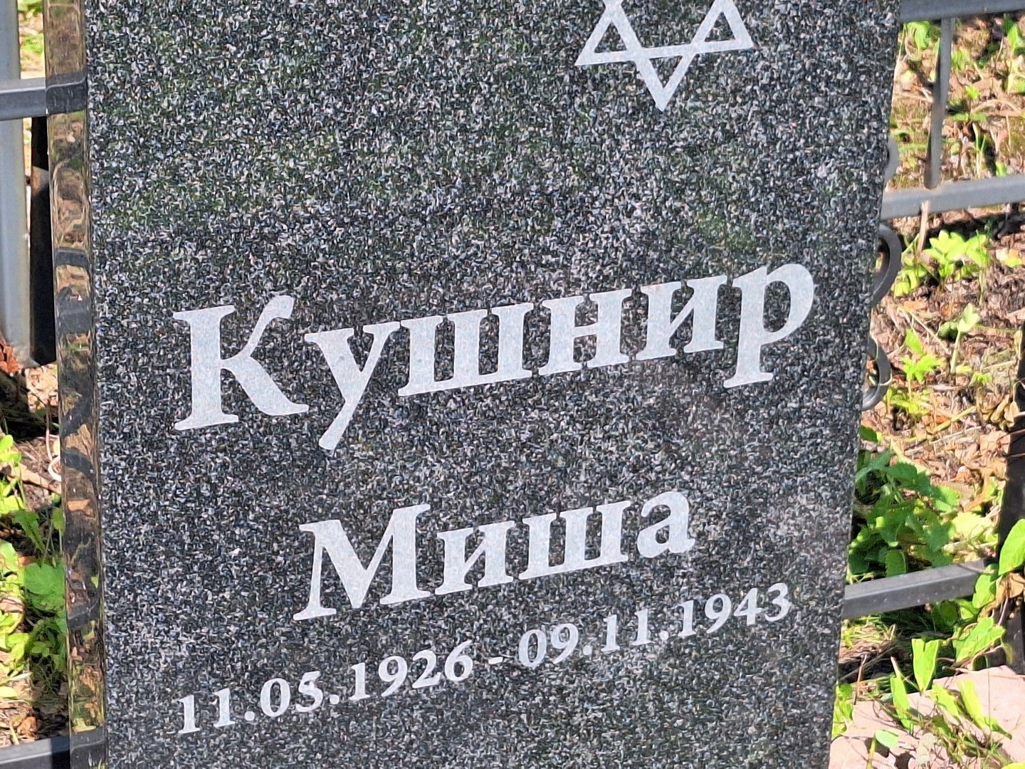 Кушнир Кушнир