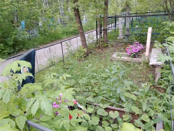 Бурашев Виктор