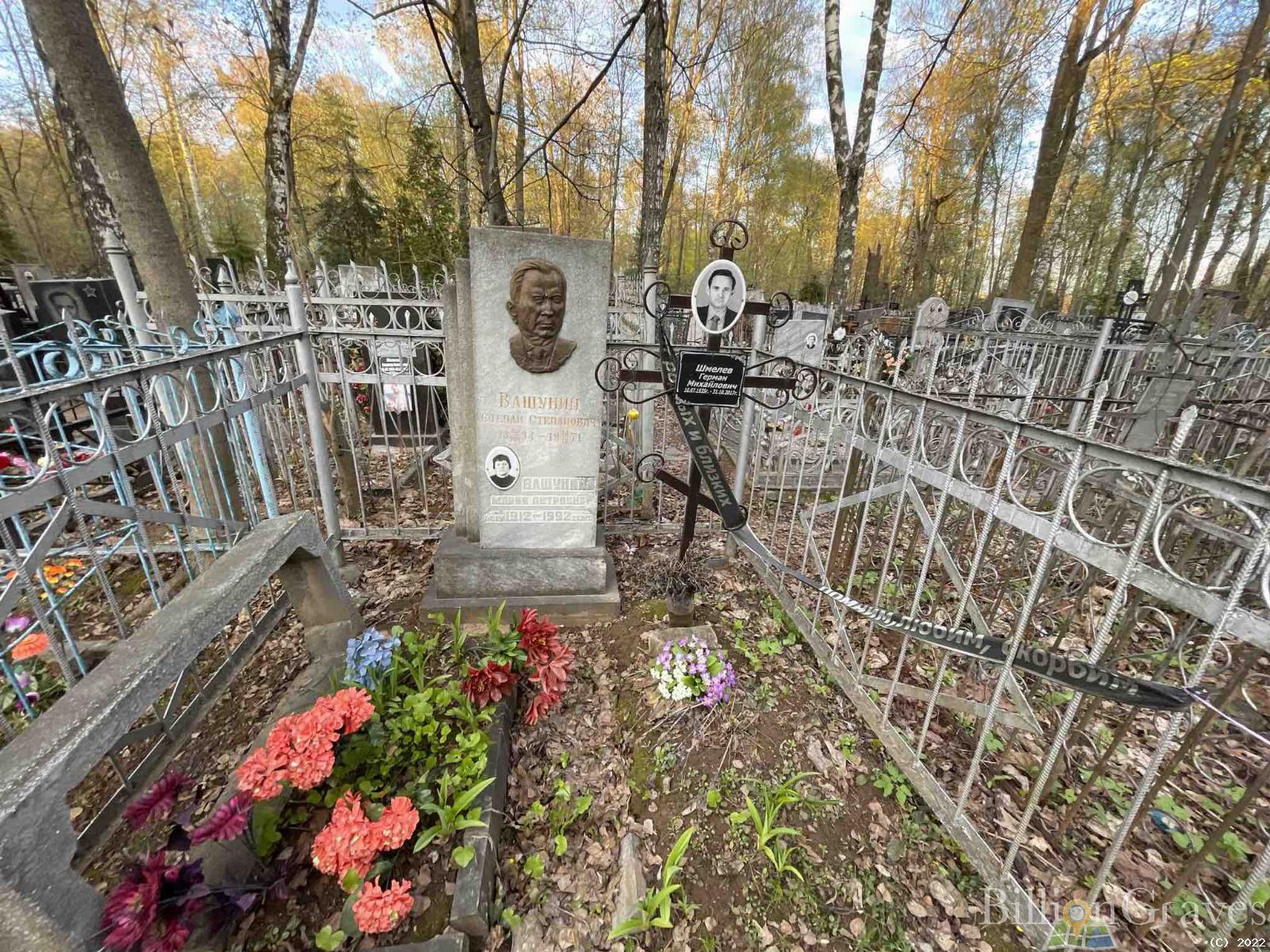 Вашунина Мария Петровна
