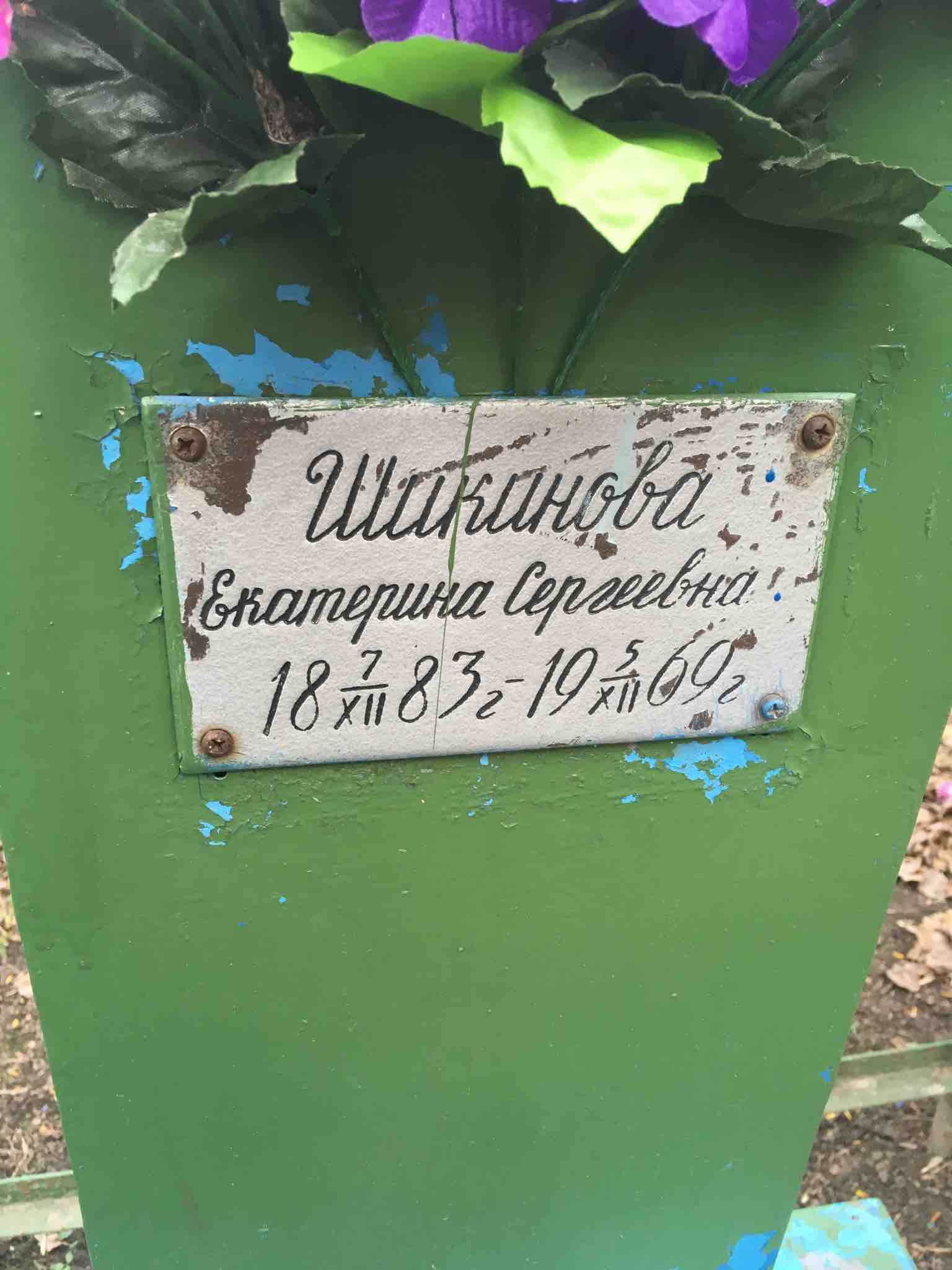 Шикинова Екатерина Сергеевна
