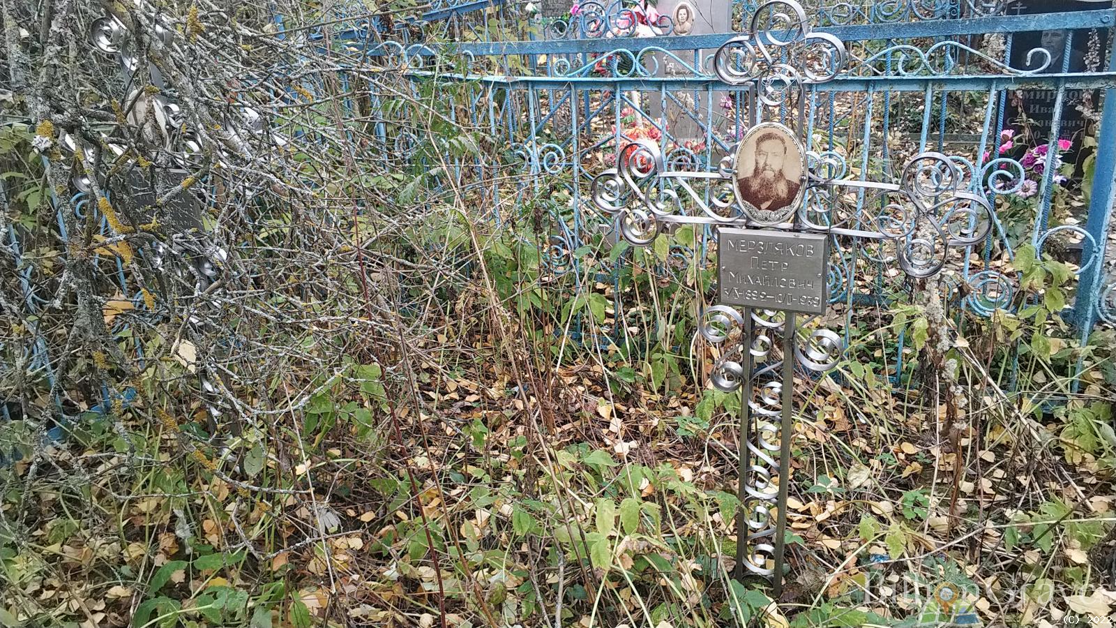 Мерзлякова Наталья Петровна