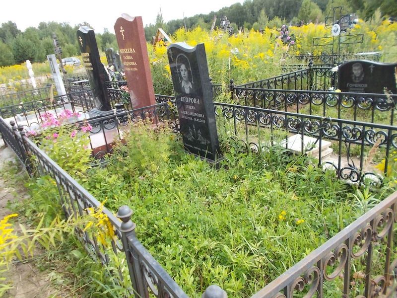 Егорова Елена Александровна