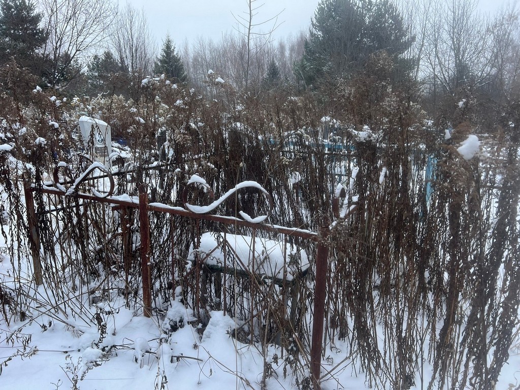 Платонова Анна Степановна