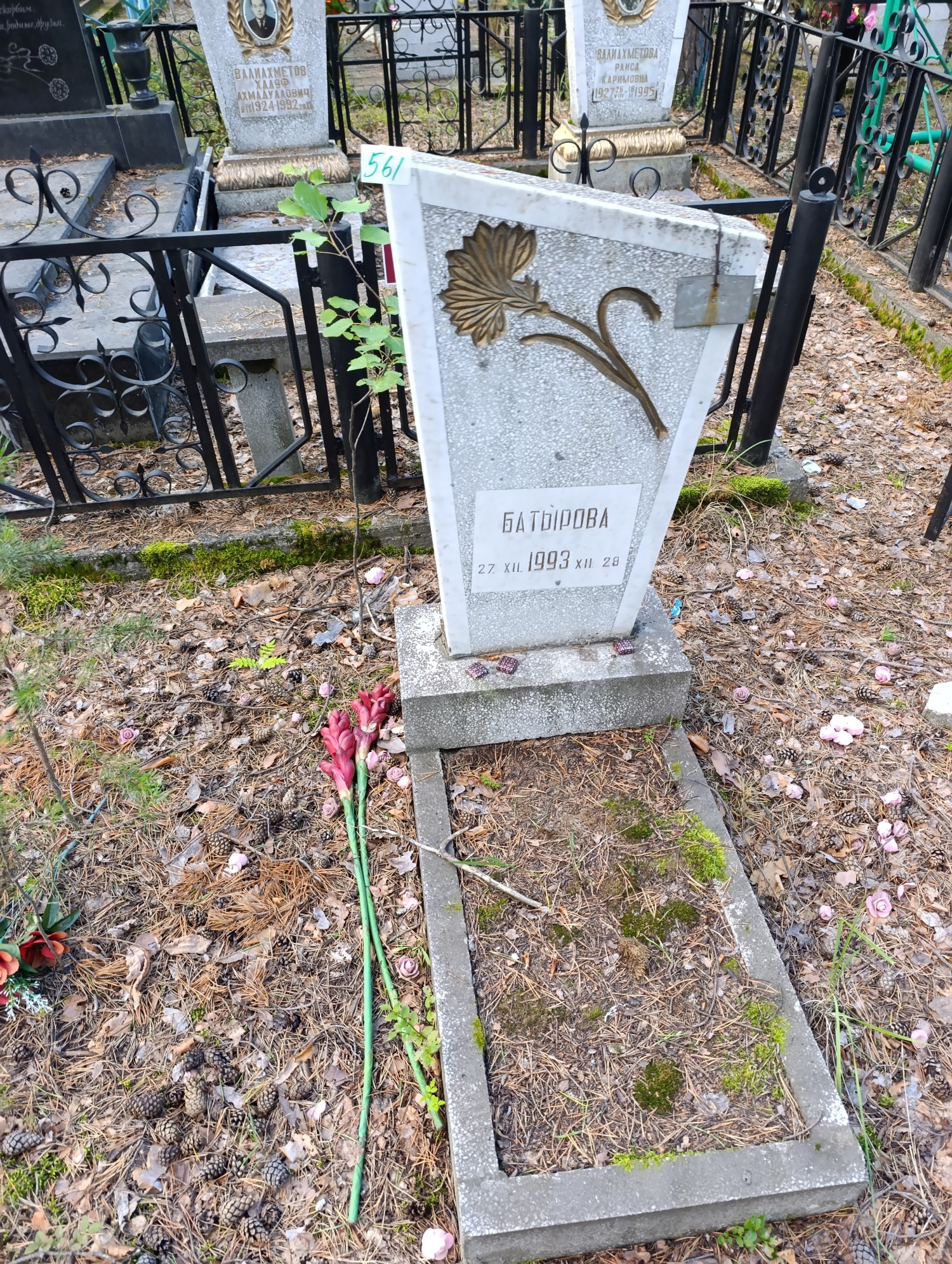 Батырова