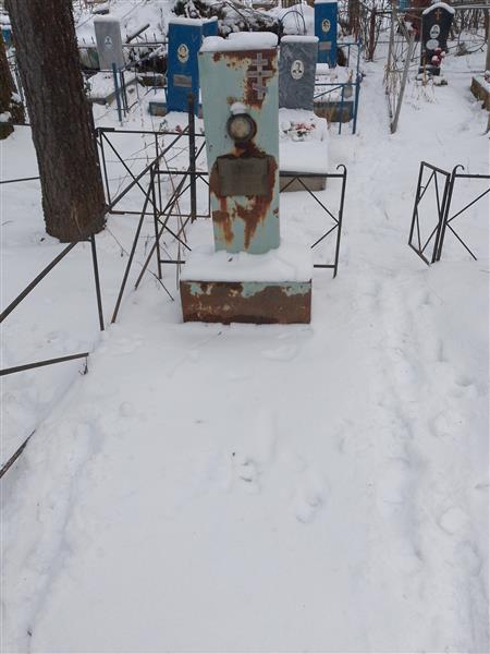 Волков Григорий Тигрович