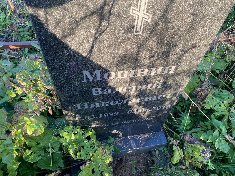 Мошнин