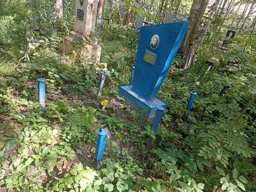 Курятников Николай Кузьмич