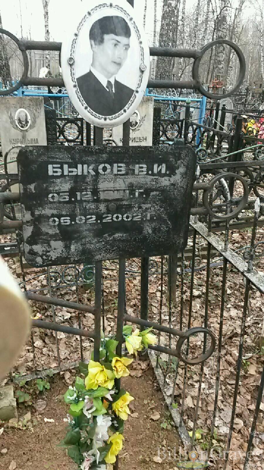 Быков В. И.
