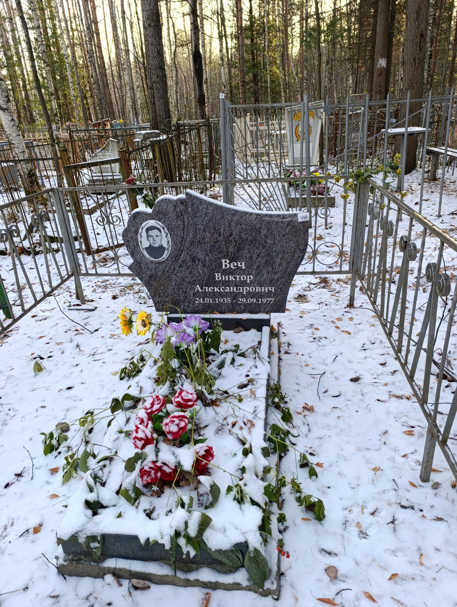 Веч Виктор Александрович