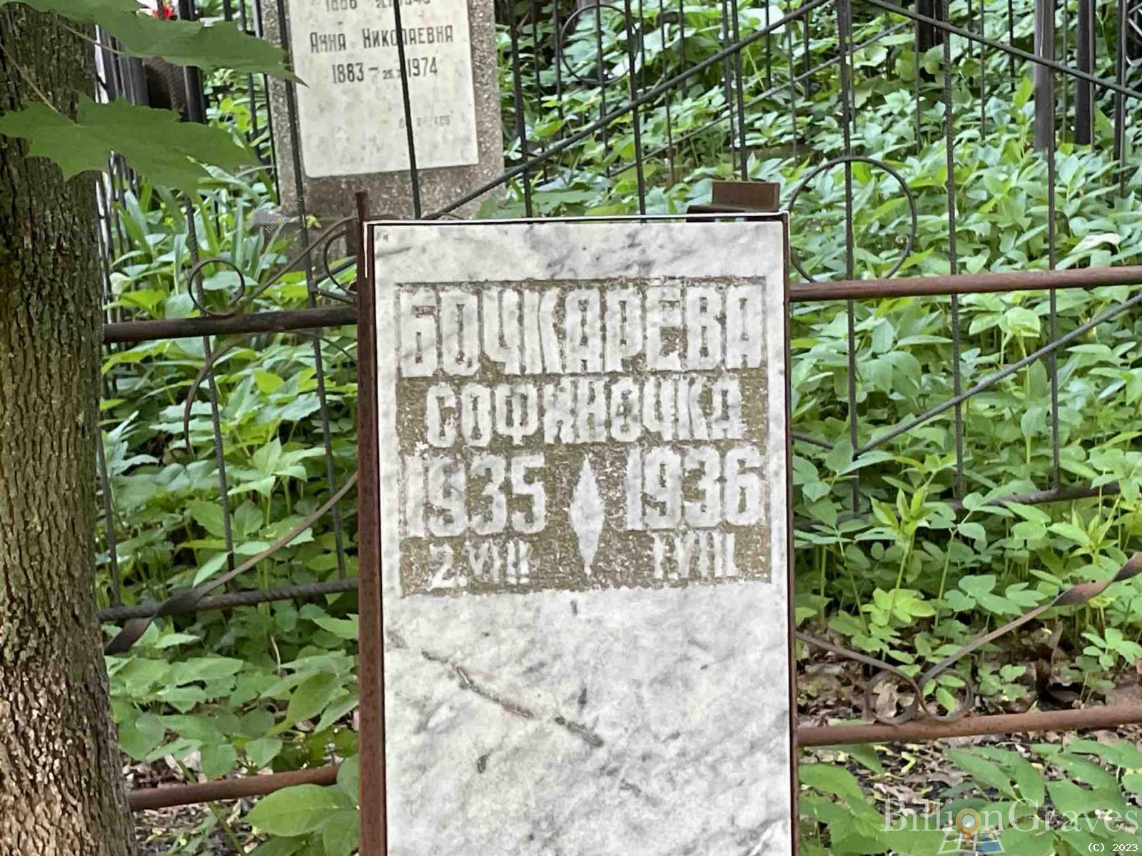 Бочкарева Софиночка