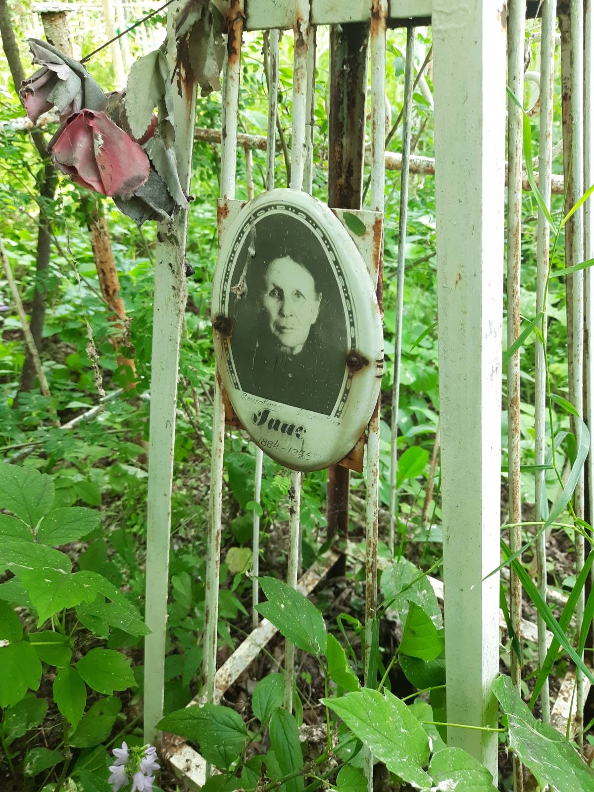 Гаас Елизавета Адамовна