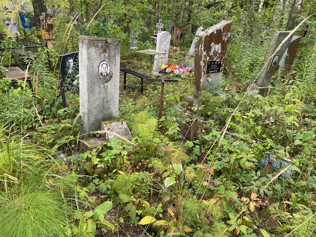 Новичков Николай Петрович