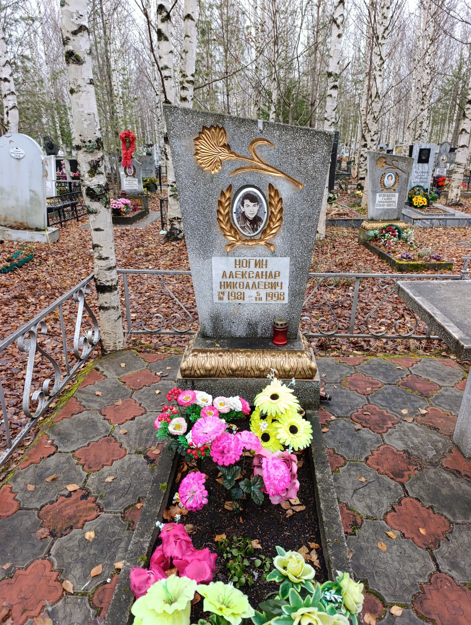 Ногин Александр Николаевич