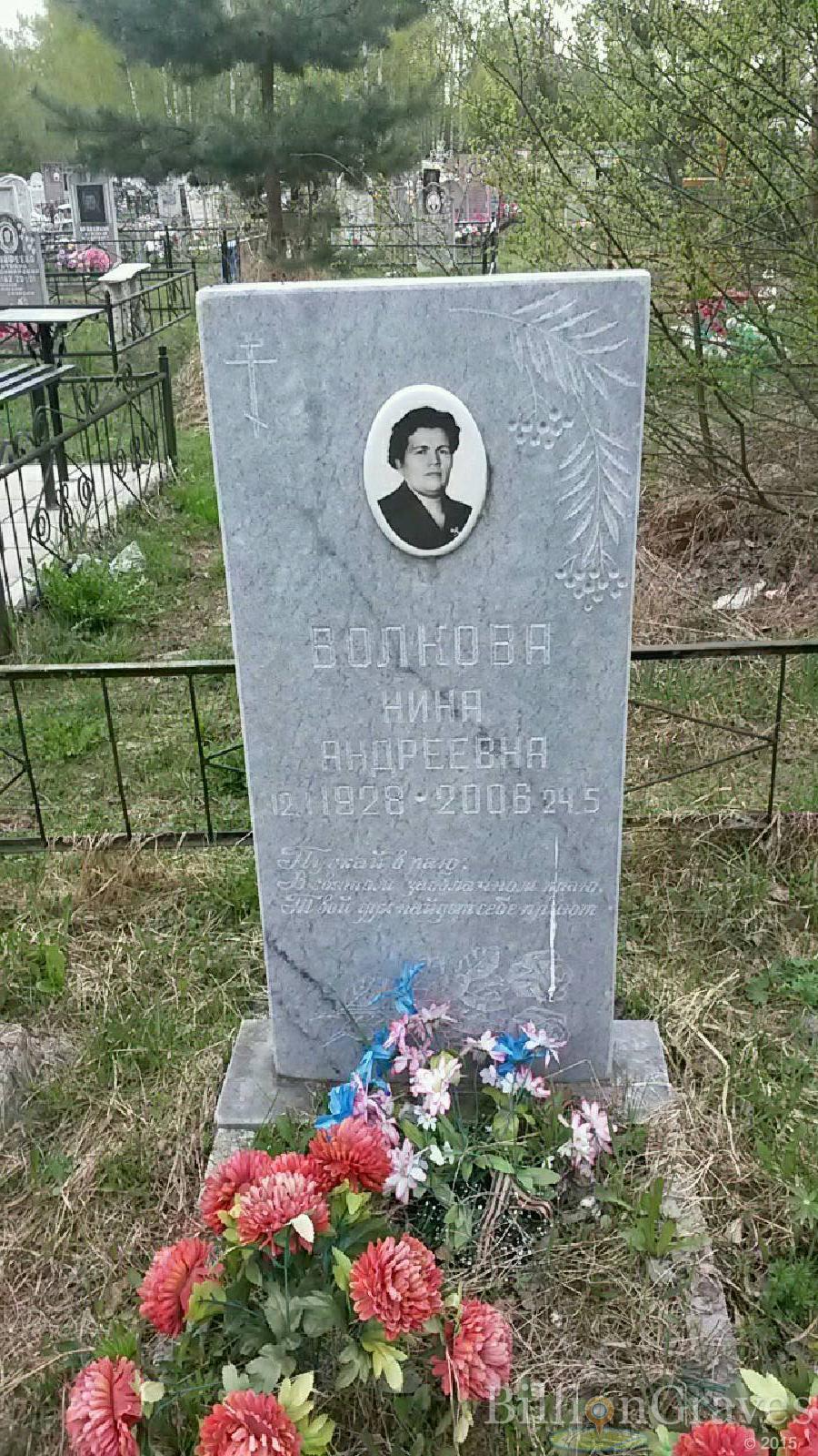волкова нина андреевна