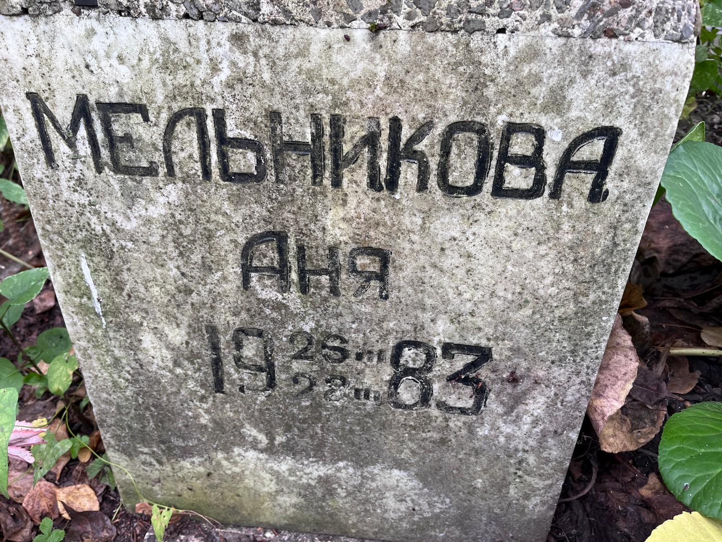 Мельникова Мельникова