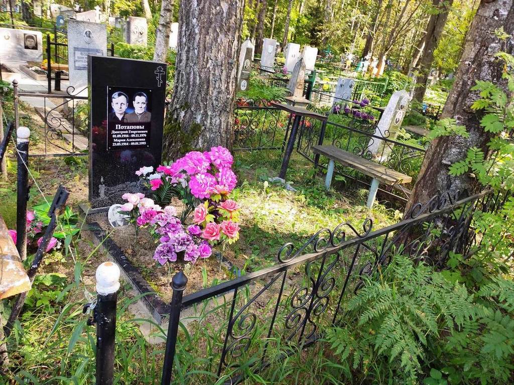 Потапов Дмитрий Георгиевич