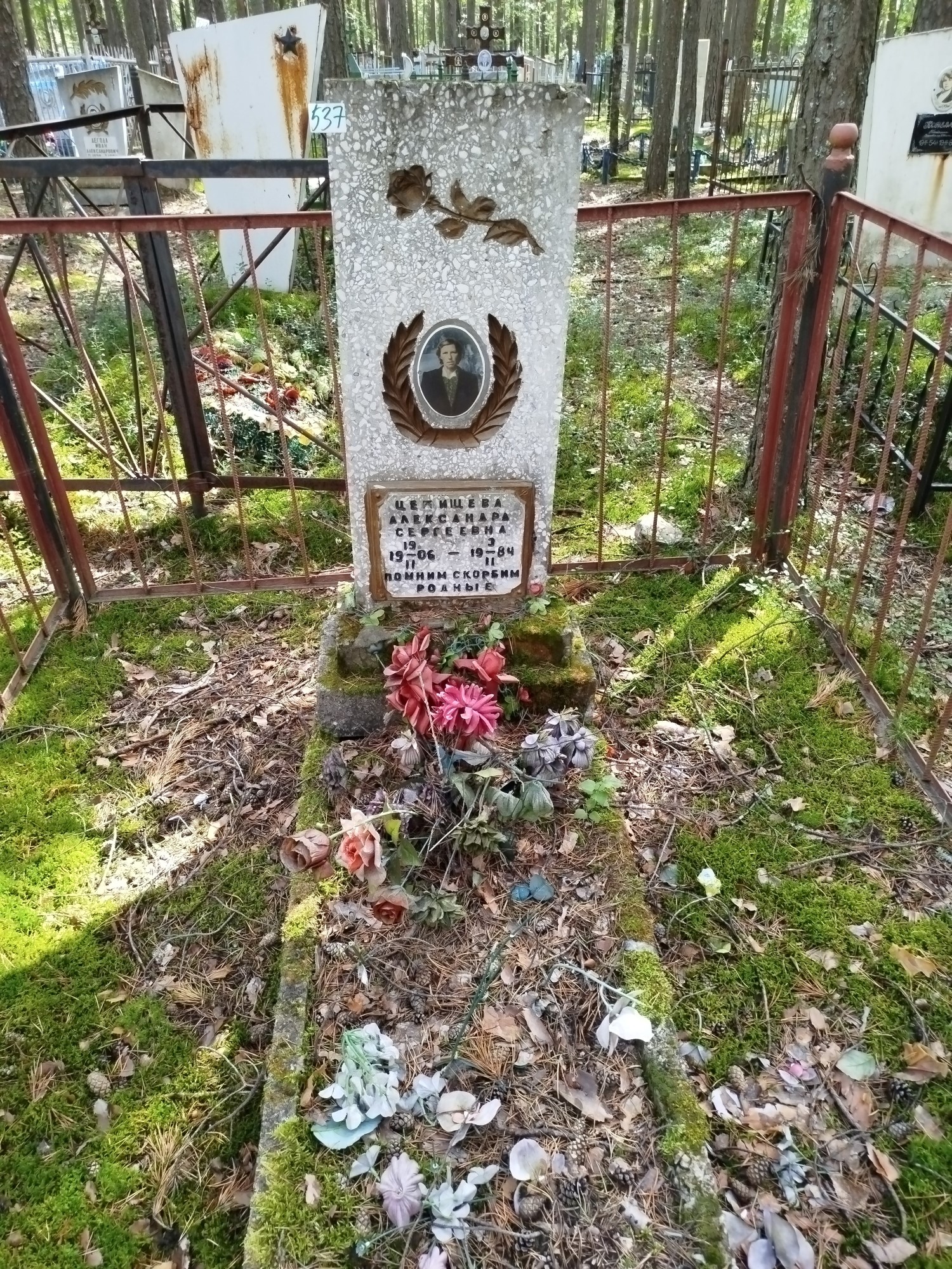 Целищева Александра Сергеевна